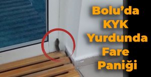 BOLU'DA KYK YURDUNDA FARE PANİĞİ