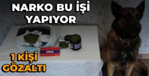 BOLU'DA NARKO EKİPLERİ BU İŞİ HAKKIYLA YAPIYOR