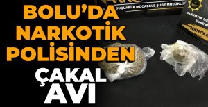 BOLU'DA NARKOTİK POLİSİNDEN ÇAKAL AVI