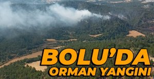 BOLU'DA ORMAN YANGINI...
