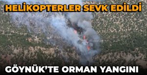 BOLU'DA ORMAN YANGINI... ÇOK SAYIDA EKİP SEVK EDİLDİ...