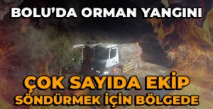 BOLU'DA ORMAN YANGINI...ÇOK SAYIDA EKİP SEVK EDİLDİ...