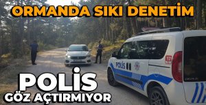 BOLU'DA ORMAN YANGINLARINA KARŞI SIKI ÖNLEM...