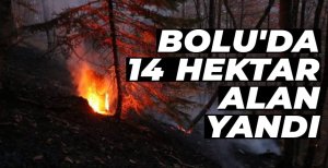 BOLU'DA ORMAN YANGINLARINI SEBEPLERİ AÇIKLANDI