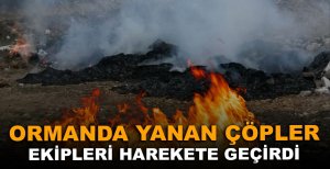 BOLU'DA ORMANDA YANAN ÇÖPLER YÜREKLERİ AĞZA GETİRDİ