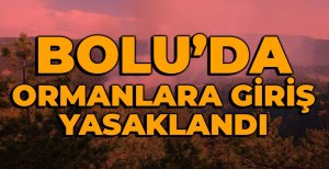 BOLU'DA ORMANLARA GİRİŞ YASAKLANDI... İŞTE PİKNİK YAPILABİLECEK ALANLAR