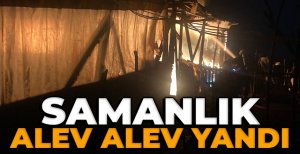 BOLU'DA SAMANLIK ALEV ALEV YANDI...