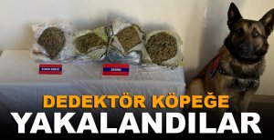 BOLU'DA UYUŞTURUCUYA GEÇİT YOK