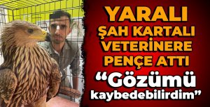 BOLULU VETERİNER DEHŞETTEN KIL PAYI KURTULDU… “GÖZÜMÜ KAYBEDEBİLİRDİM”