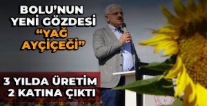 BOLU'NUN YENİ GÖZDESİ " YAĞ  AYÇİÇEĞİ"