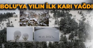 BOLU'YA YILIN İLK KARI YAĞDI