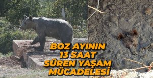 BOZ AYININ 13 SAAT SÜREN YAŞAM MÜCADELESİ