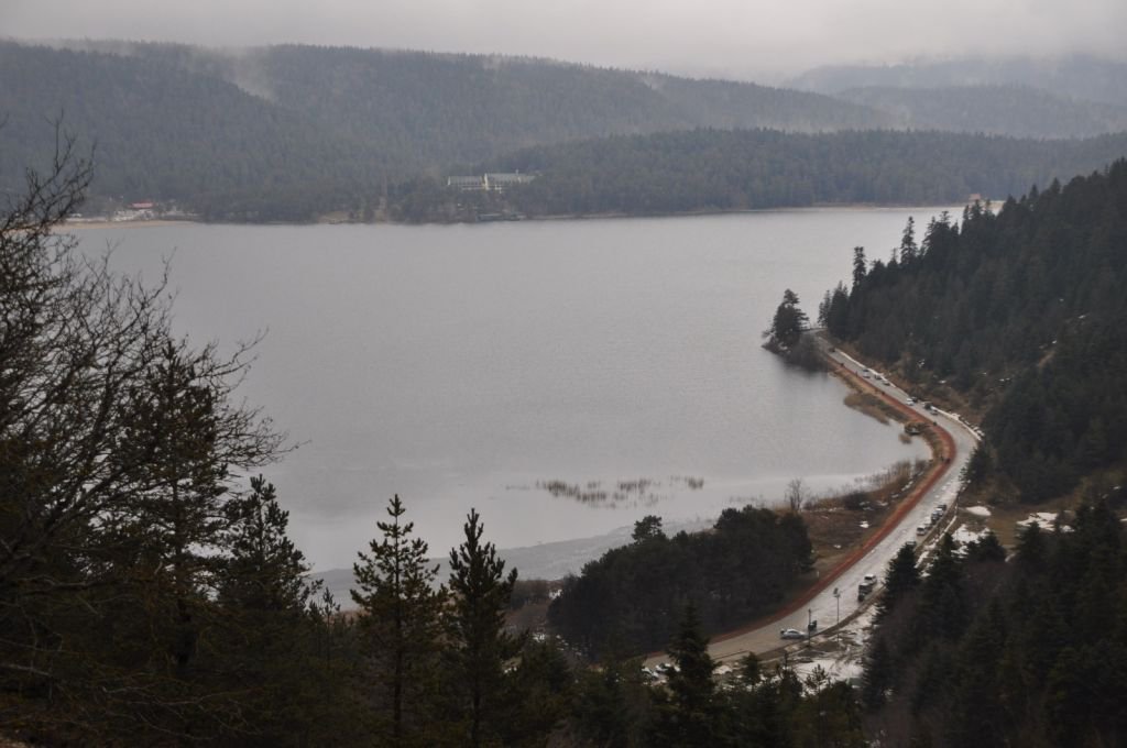 ABANT’TA ÇİĞDEMLER ÇİÇEK AÇTI