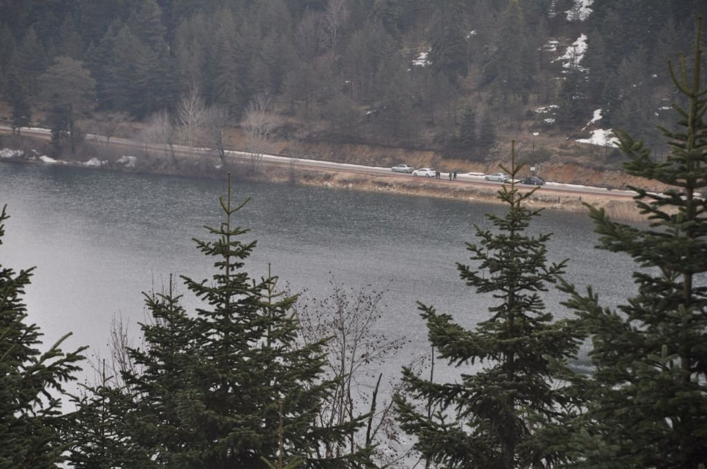 ABANT’TA ÇİĞDEMLER ÇİÇEK AÇTI