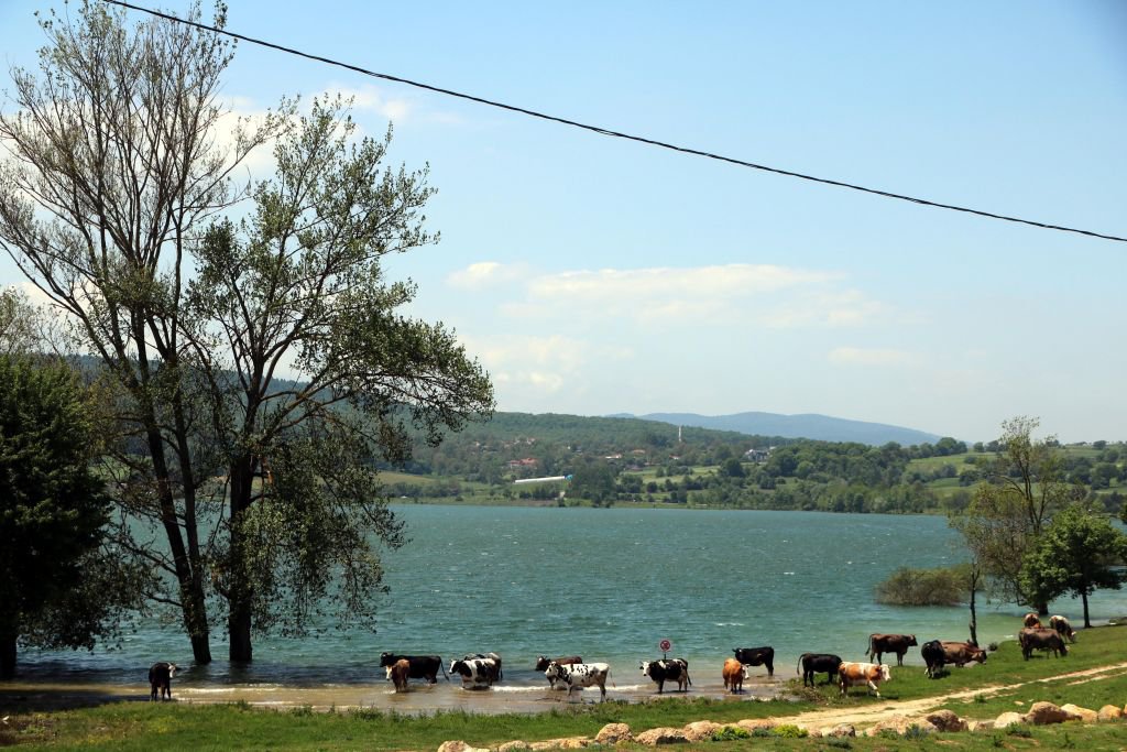 BOLU BU YIL SU SIKINTISI YAŞAMAYACAK...