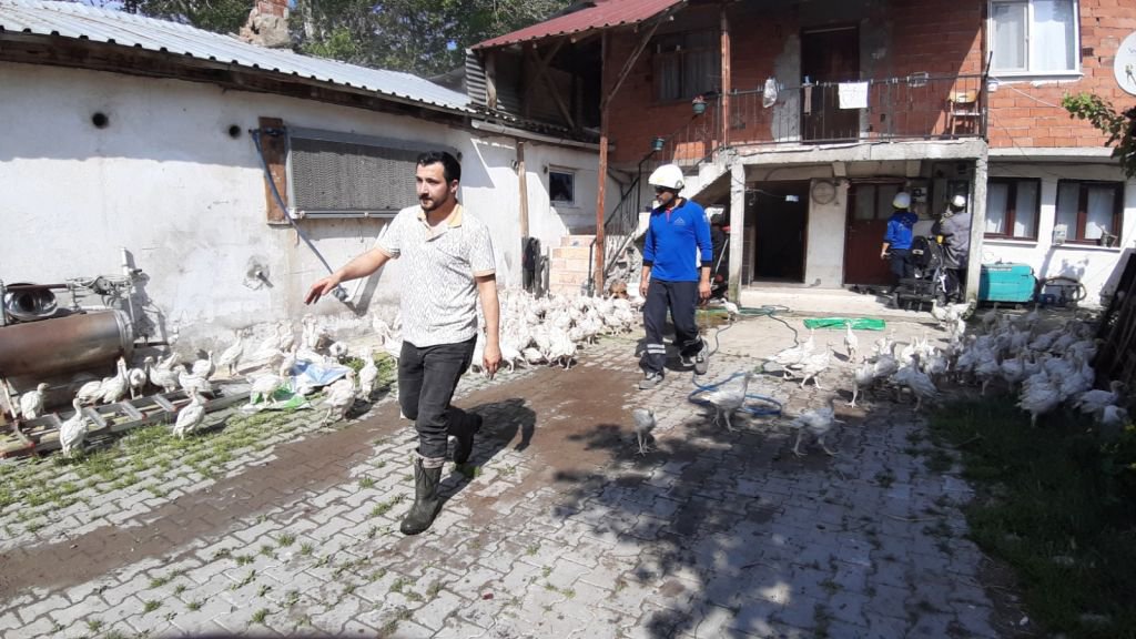 BOLU'DA 3 BİNLİK KÜMESTE YANGIN...