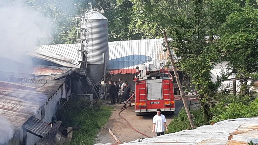 BOLU'DA 3 BİNLİK KÜMESTE YANGIN...