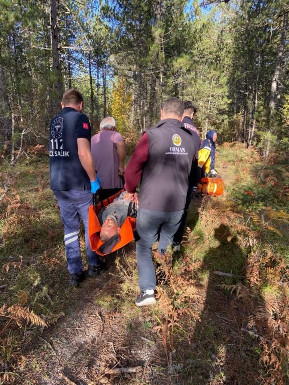 BOLU'DA ÇOBAN, ORMANDA ÖLÜMDEN DÖNDÜ...