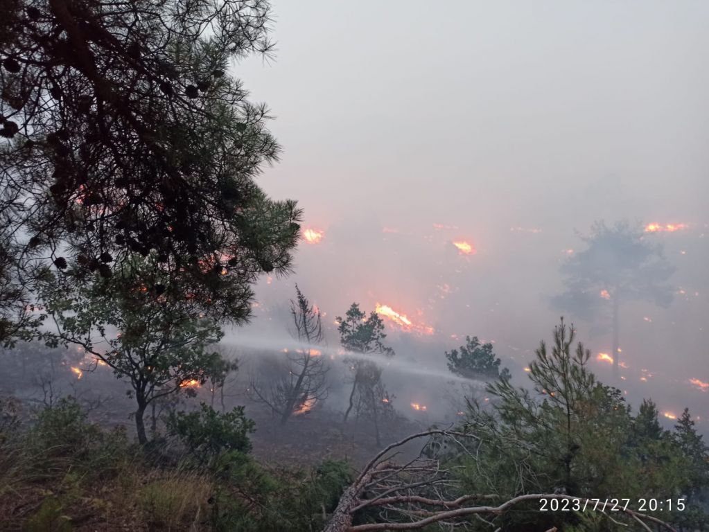 BOLU'DA DÜŞEN YILDIRIM SONUCUNDA ORMAN YANGINI ÇIKTI...