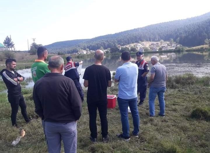 BOLU'DA O YAYLADA ÖLÜ BALIKLAR KIYIYA VURDU... İŞTE ÖLÜMLERİN NEDENİ...