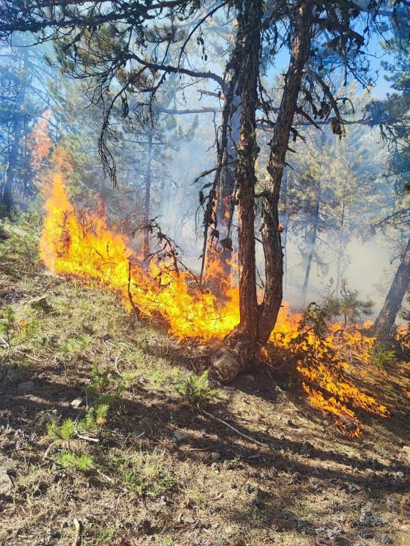 BOLU'DA PEŞ PEŞE ORMAN YANGINLARI