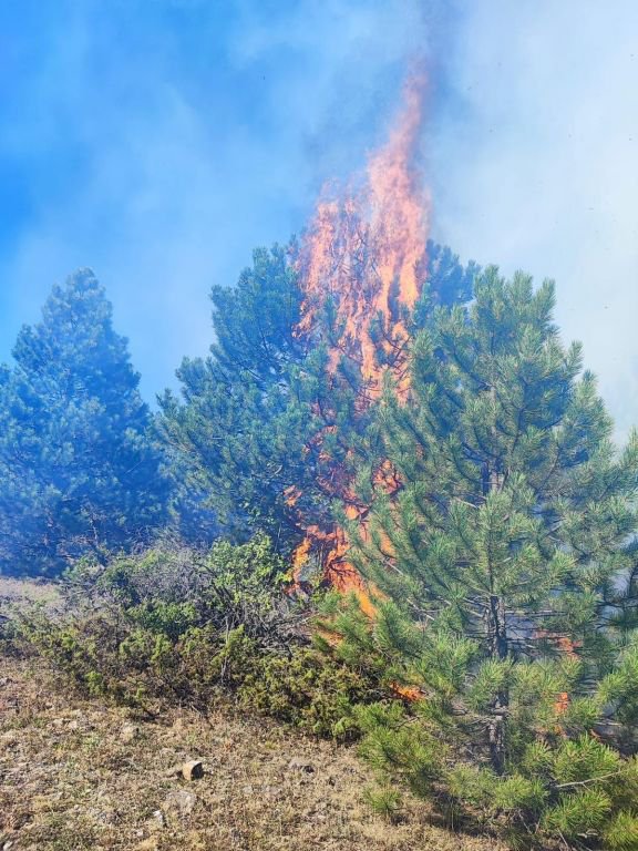 BOLU'DA PEŞ PEŞE ORMAN YANGINLARI