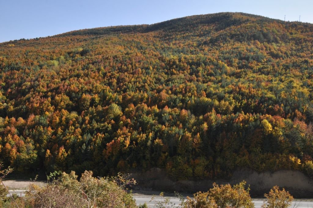 BOLU'DAN MEST EDEN GÖRÜNTÜLER