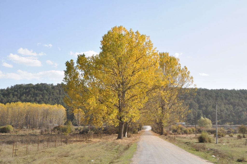 BOLU'DAN MEST EDEN GÖRÜNTÜLER