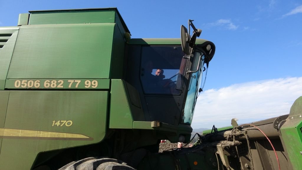 BOLU'NUN YENİ GÖZDESİ " YAĞ  AYÇİÇEĞİ"