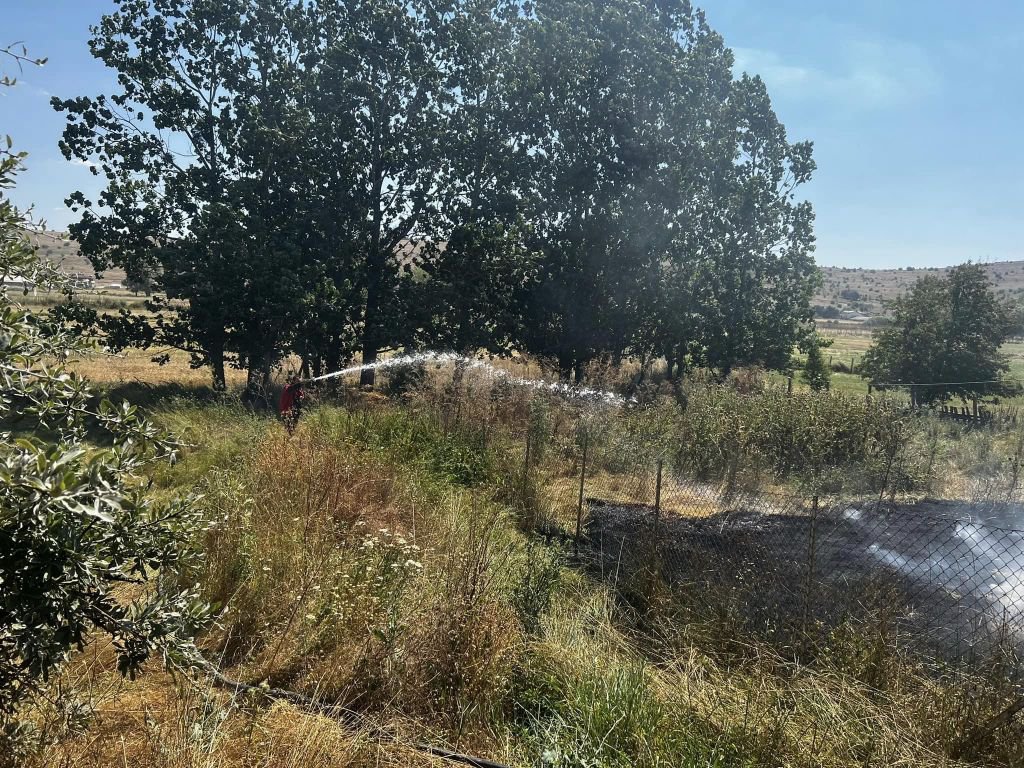 ELEKTRİK KABLOSUNDAN OT YANGINI ÇIKTI...