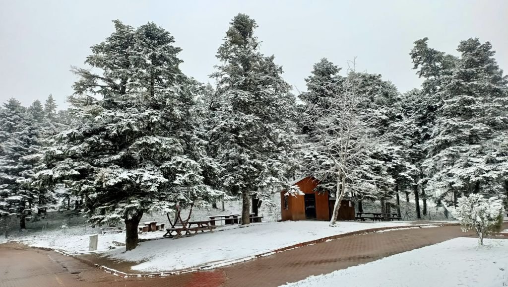 GÖLCÜK BEYAZ GELİNLİĞİNİ GİYDİ