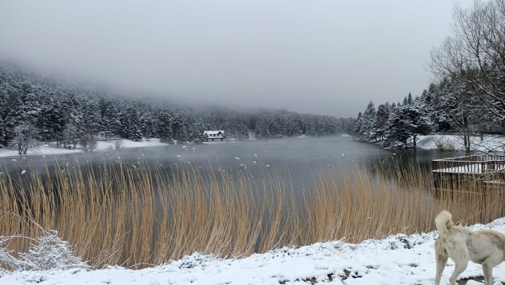 GÖLCÜK BEYAZ GELİNLİĞİNİ GİYDİ