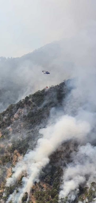GÖYNÜK'TE ORMAN YANGINI DEVAM EDİYOR...