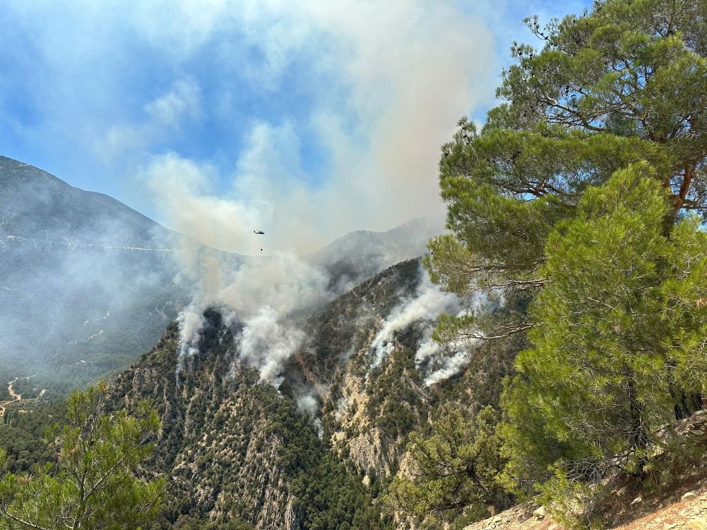 GÖYNÜK'TE ORMAN YANGINI DEVAM EDİYOR...