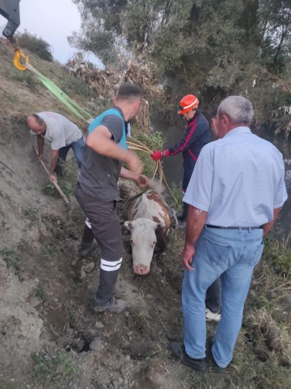 İNEĞİN İMDADINA İTFAİYE YETİŞTİ