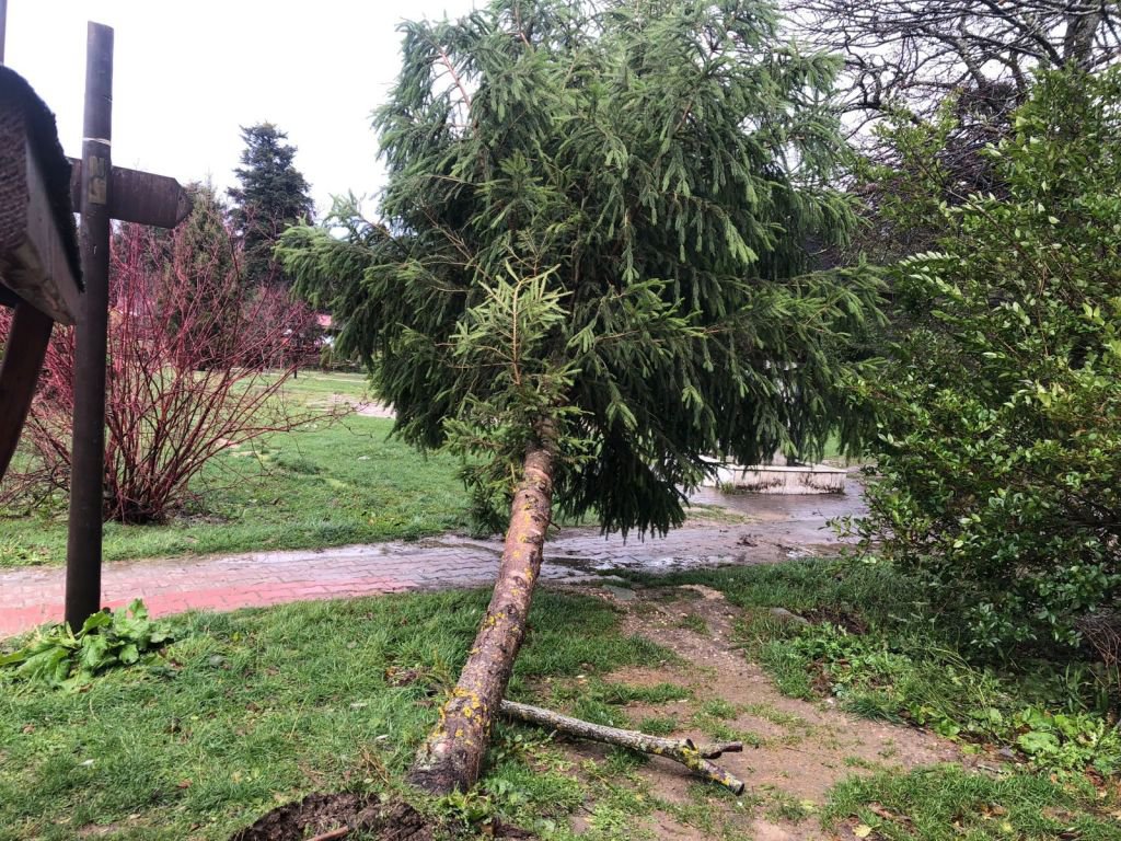 LODOS DOĞA HARİKASI GÖLCÜK TABİAT PARKI'NI YIKTI GEÇTİ