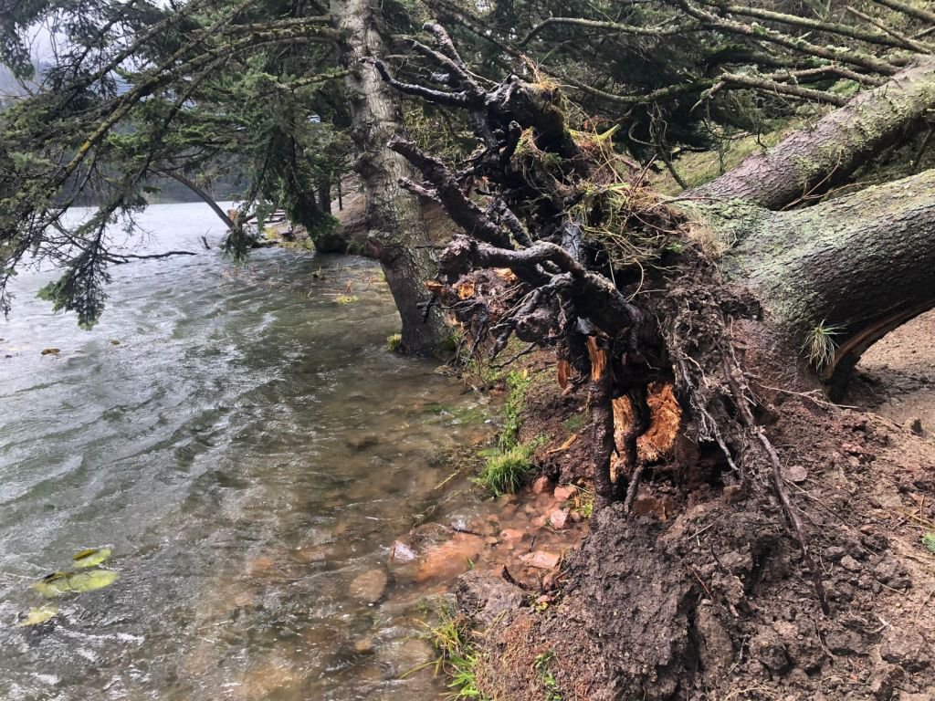 LODOS DOĞA HARİKASI GÖLCÜK TABİAT PARKI'NI YIKTI GEÇTİ