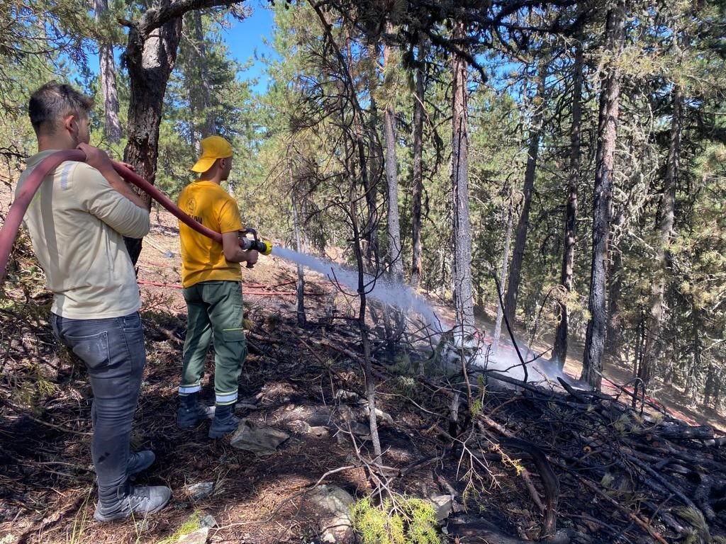 ORMAN YANGINI BÜYÜMEDEN SÖNDÜRÜLDÜ