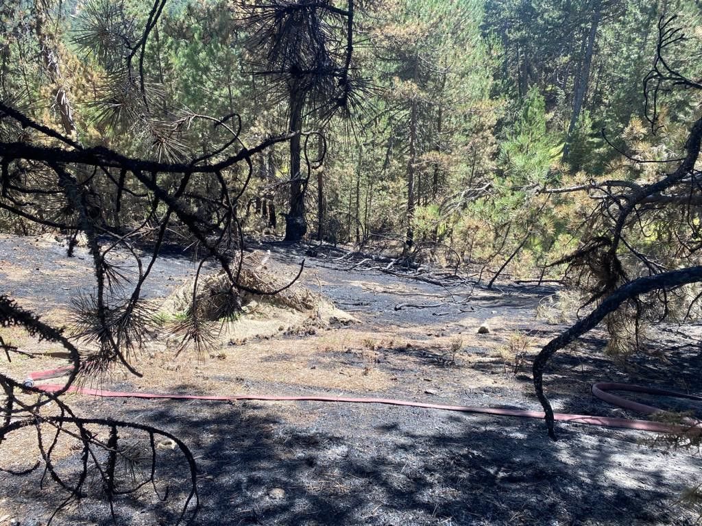 ORMAN YANGINI BÜYÜMEDEN SÖNDÜRÜLDÜ