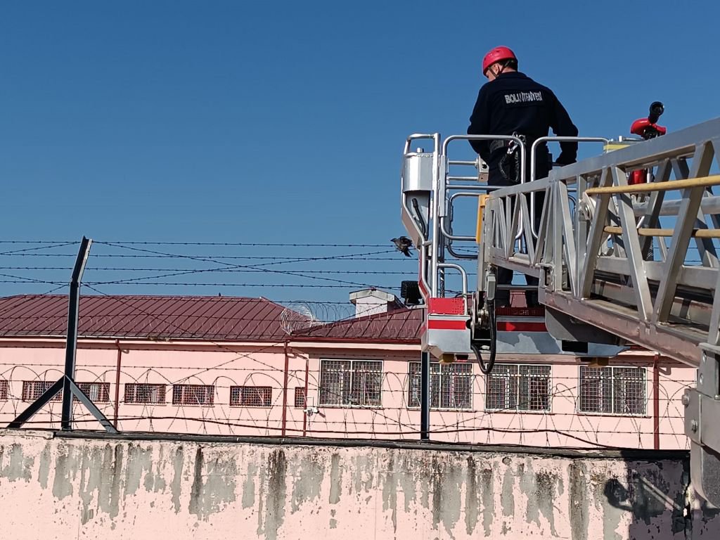 TELLERE TAKILAN KARGA YARALANDI... İTFAİYE KURTARDI