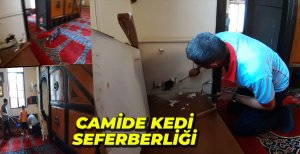 CAMİYE GİREN KEDİ MİNBERİN ARKASINA DÜŞTÜ