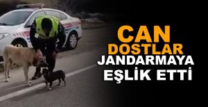 CAN DOSTLAR JANDARMAYA EŞLİK ETTİ
