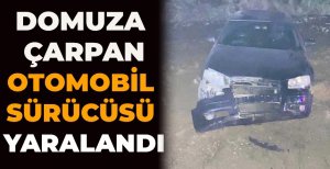 DOMUZA ÇARPAN OTOMOBİL SÜRÜCÜSÜ YARALANDI