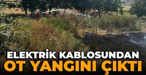 ELEKTRİK KABLOSUNDAN OT YANGINI ÇIKTI...