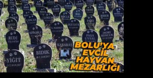 EVCİL HAYVAN MEZARLIĞI İÇİN ÇALIŞMALAR BAŞLADI