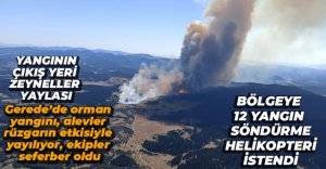GEREDE'DE ORMAN YANGINI.. ALEVLER GENİŞ ALANA YAYILIYOR