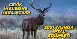 GEYİK İHALESİ İÇİN DAVA AÇILDI