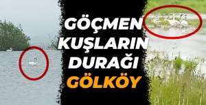 GÖÇMEN KUŞLARIN DURAĞI BOLU...