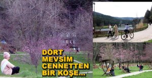 GÖLCÜK TABİAT PARKI BÜYÜLÜYOR....