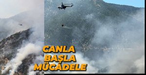 GÖYNÜK'TE ORMAN YANGINI DEVAM EDİYOR...